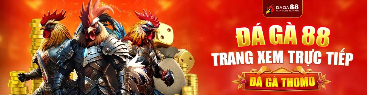 Đá Gà Trực Tuyến Hấp Dẫn tại tylekeo88 tv